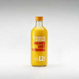 Ingwer Shot 12SHOTS 3x 360 ml