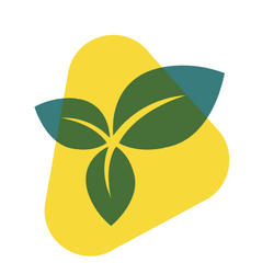  Aus Überzeugung bio und vegan